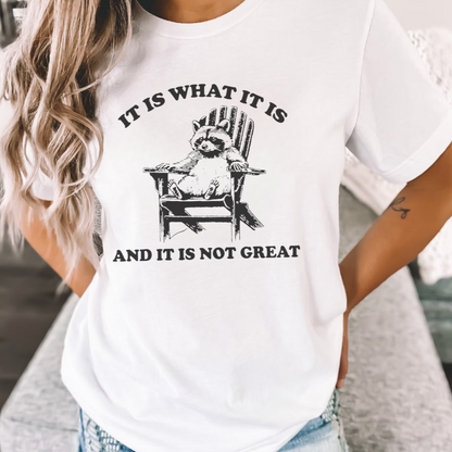 It Is What It Is T-Shirt