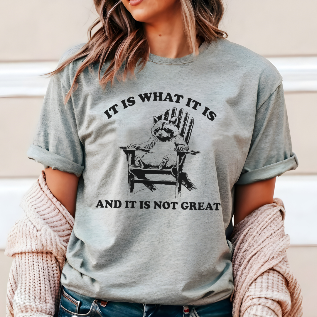 It Is What It Is T-Shirt