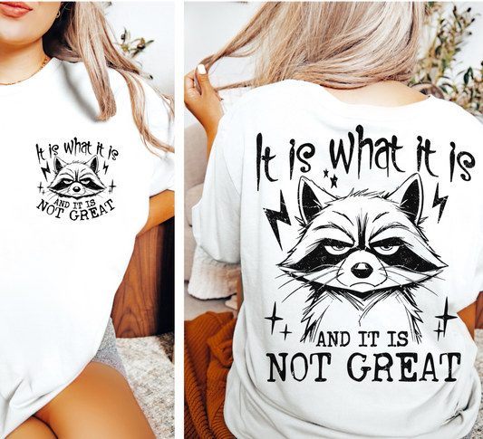 It Is What It Is, And It Is Not Great Raccoon Graphic T-Shirt